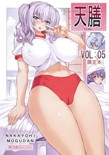 Tenzan VOL:05 Genteibon manga cover