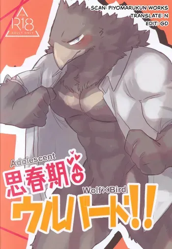 [Nokiasenki] Adolescent Wolf x Bird!! [Eng] manga cover