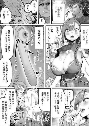[Bujidearu] Yaban na Orc o Yurusuna!!!! manga cover