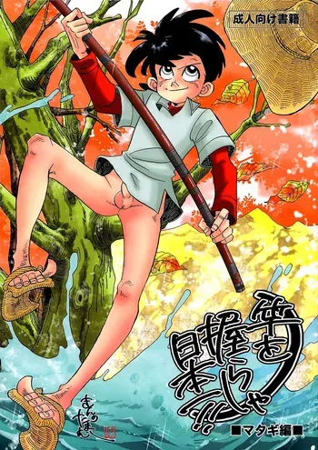 KIN NO TAMAMUSHI - Sao o Nigirasha Nipponichi!! Matagi Hen (Tsurikichi Sanpei) manga cover