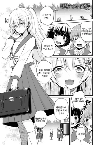[Sioyaki Ayu] Saionji-ke no Ojousama (Otokonoko Heaven's Door 9) [Korean] manga cover