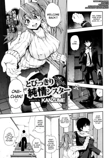Tobikkiri Junjou Sister manga cover