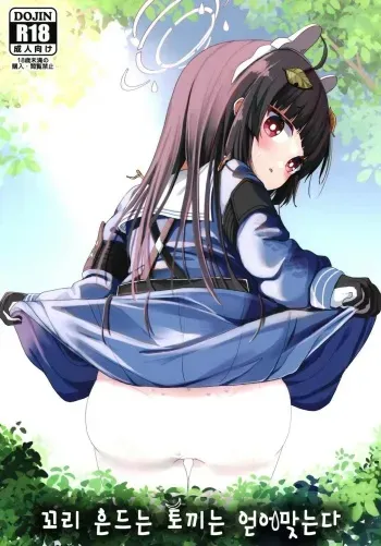 (C102) [Mugichoko Store (Mugichoko)] O o Furu Usagi wa Tatakareru | 꼬리 흔드는 토끼는 얻어맞는다 (Blue Archive) [Korean] manga cover