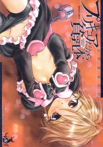 (C66) [Kuroshikatei (Unno Hotaru)] Precure dakara Hinnyuu Bon (Futari wa Precure) manga cover