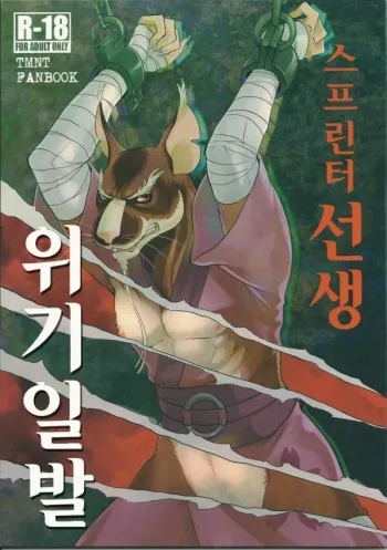 (Fur-st 8) [INK (Kreuz, Kandagawa Gufu)] Splinter Sensei Kiki Ippatsu | 스플린터 선생 위기일발 (Teenage Mutant Ninja Turtles) [Korean] manga cover