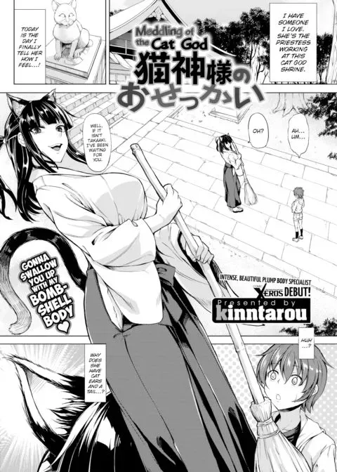 Meddling of the Cat God manga cover