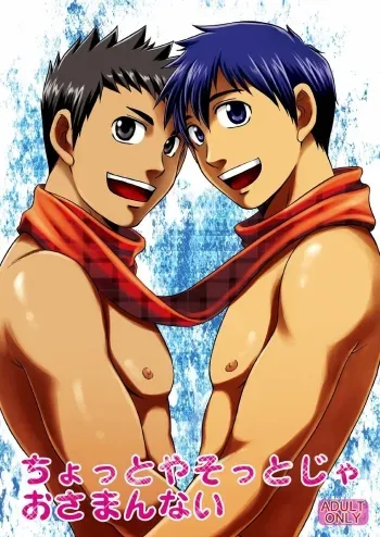 Chotto ya Sotto ja Osamannai | not satisfied with a little or a quickie manga cover