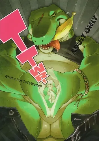 (C83) [Dragon Heart (Various)] TTWR! [English] [TraumaFox] manga cover