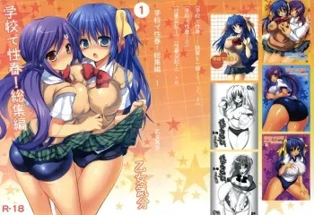 (C82) [Otomekibun (Sansyoku Amido.)] Gakkou de Seishun! Soushuuhen 1 manga cover