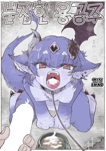 [Kashiwa Cider] Toraware no Ryuhime｜붙잡힌 용공주 [Korean] [LWND] manga cover