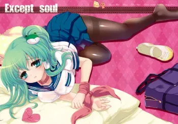 (Reitaisai 8) [Kuma-tan Flash! (Hanao)] Except soul (Touhou Project) manga cover
