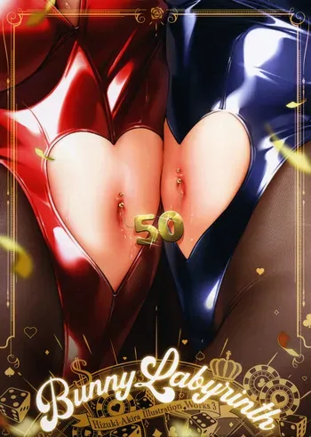 [Hizuki Akira] Bunny Labyrinth Hizuki-Akira illustration Works3 (COMIC E×E 50 Bonus booklet) manga cover