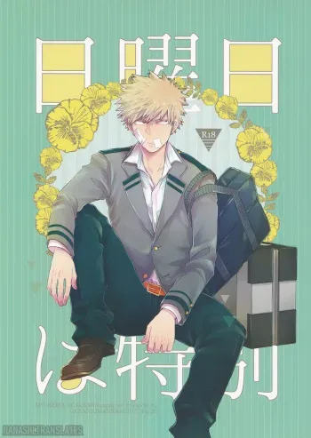 Nichiyoubi wa Tokubetsu manga cover