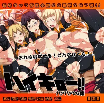 (C87) [LolitaChannel (Arigase Shinji)] Yuumei Chara Kannou Shousetsu CG Shuu No. 297!! Haikyuu!! HaaHaa CG Shuu (Haikyuu!!) manga cover