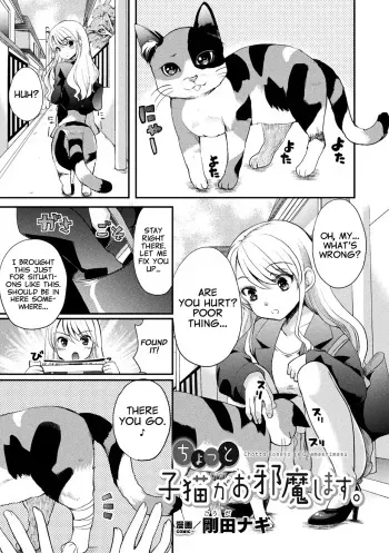 Chotto Koneko ga Ojamashimasu manga cover