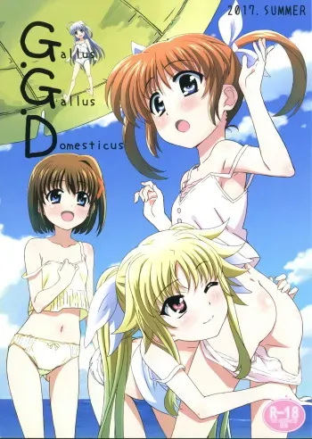 (C92) [Tamagoya (Miyajima Hitoshi)] Gallus.Gallus.Domesticus 2017 SUMMER (Lyrical Nanoha) manga cover