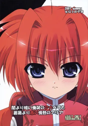 (C72) [Tonarinoyama (Yokoyama Kouji)] Yami yori Kurai Doukoku no A capella to Bara yori Akai Jounetsu no Aria (Mahou Shoujo Lyrical Nanoha) manga cover