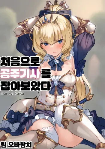 [Mankai Kaika] Hajimete Hime Kishi o Tsukamaete mita | 처음으로 공주기사를 잡아보았다 [팀 오바참치][korean] manga cover