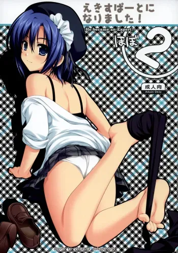 Expert ni Narimashita! Hobo 2 manga cover