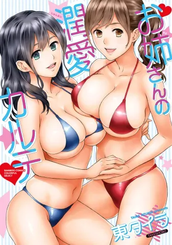 Onee-san no Junai Karte manga cover