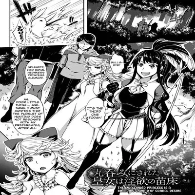 The Swallowed Princess Is A Breeding Ground Of Carnal Desire [Original] manga cover