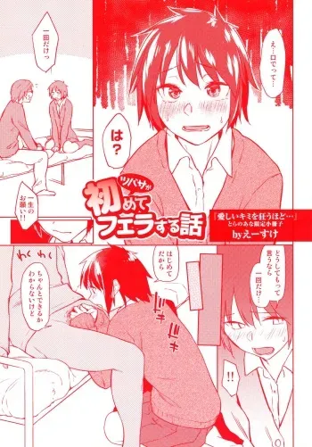 Itoshii Kimi wo Kuruu Hodo Toranoana Gentei 4P Leaflet Tsubasa ga Hajimete Fera suru Hanashi manga cover