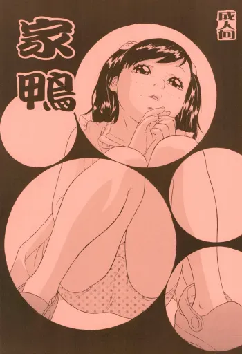 (C84) [Momonga Club (Hayashibara Hikari)] Ahiru manga cover