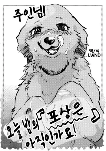 [Kon Juuichibai (Momou)] Goshujin-sama! Konya no "Gohoubi" Mada desu ka! | 주인님! 오늘 밤의 "포상은" 아직인가요! [Korean] [LWND] [Digital] manga cover