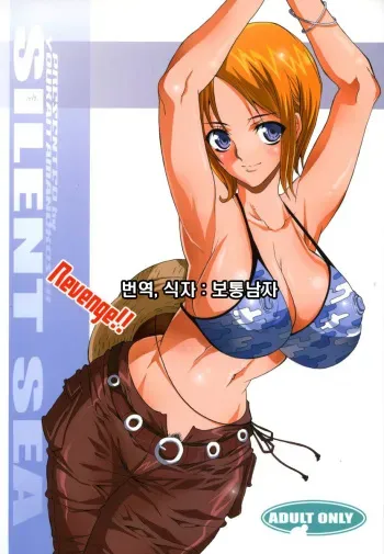 (C70) [Youkai Tamanokoshi (CHIRO)] SILENT SEA Revenge!! (One Piece) [Korean] {보통남자} manga cover