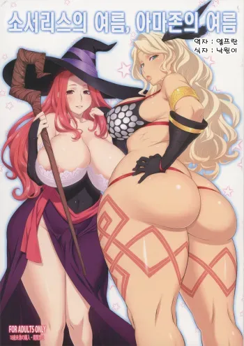 (C80) [OZONE (Marumiya)] Sorceress no Natsu, Amazon no Natsu. (Dragon's Crown) [Korean] [Team Arcana] manga cover