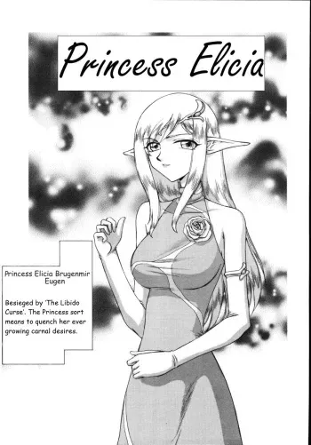 Hajime Taira Type H, Chapter Princess Elicia Rewrite manga cover