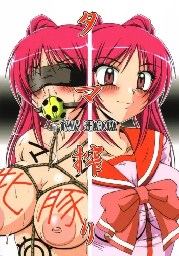(C69) [Hakueki Shobou (A-Teru Haito)] Tama Shibori (ToHeart 2) manga cover