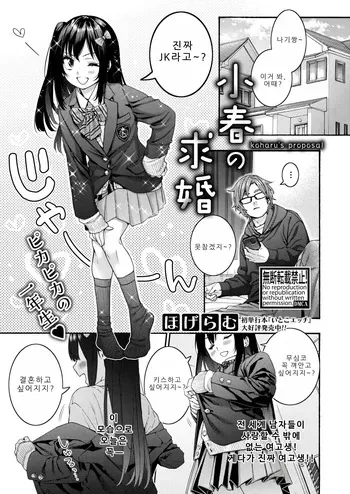 [Hogeram] Koharu no Kyuukon (COMIC Shingeki 2026-04) [korean] [Digital] manga cover