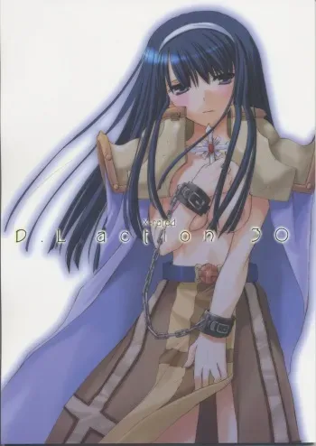 (C68) [Digital Lover (Nakajima Yuka)] D.L. action 30 (Ragnarok Online) manga cover