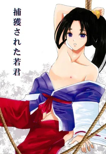 (C105) [Shinsei Frontier (kozi, Himehana Kosaki)] Hokaku sareta Wakagimi (Nige Jouzu no Wakagimi) manga cover