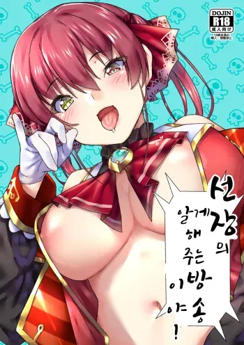 [Hikoushiki (CowBow)] Senchou no Wakarase Haishin Nandawa! (Houshou Marine) [Korean] manga cover
