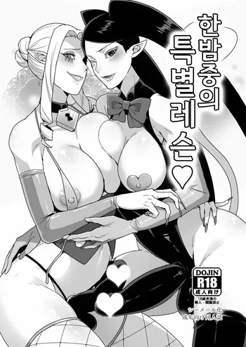 [Granada no Sora (Mogiki Hayami)] Mayonaka no Tokubetsu Lesson (Go! Princess PreCure) / 한밤중의 특별레슨 (Go! Princess PreCure) [Digital] [Korean] manga cover