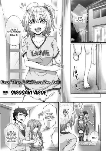 Soredemo Aniki ga Daisuki de manga cover
