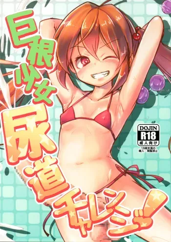 Kyokon Shoujo Nyoudou Challenge! manga cover