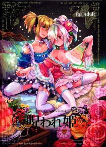 (C78) [dicca (Suemitsu Dicca)] Korizuni Josou Shounen Hon 4 Cursed Prince [English] =SW= manga cover