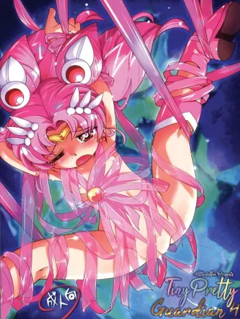Chiccha na Bishoujo Senshi 4 | Tiny Pretty Guardian 4 manga cover