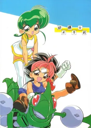 Kekkou na Otemae manga cover
