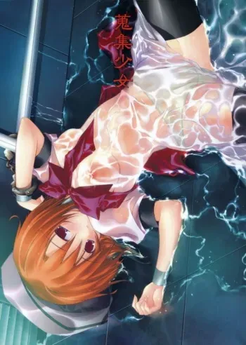 (C67) [Toriaezu(kari) (Tororo)] Shuushuu Shoujo (Higurashi no Naku Koro ni) manga cover
