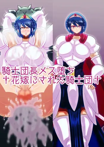 [sumetio] kisi dan tyou mesu oti† hanayome ni sa re ta kisidann† manga cover