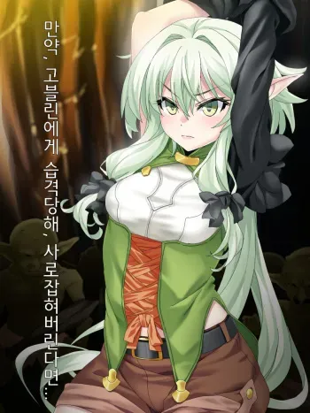 [Poncho!] Moshi, Kooni ni Osoware, Tsukamaeraretara... | 만약, 고블린에게 습격당해, 사로잡혀버린다면... (Goblin Slayer) [Korean] manga cover