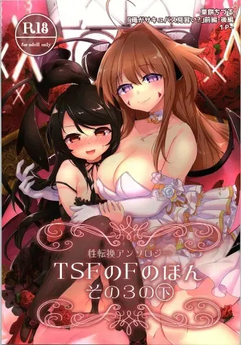 (C92) [TSF no F (Various)] TSF no F no Hon Sono 3 no Ge manga cover