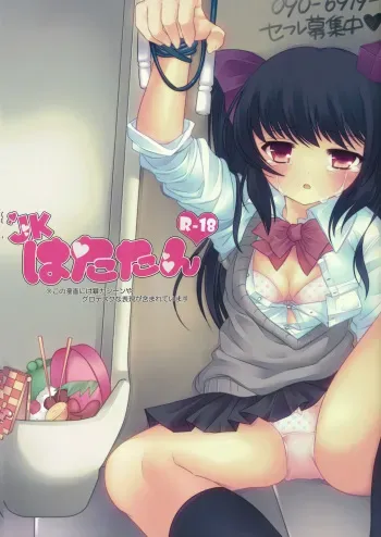 (C80) [Chemical Janky (Shiori)] JK Hatatan (Touhou Project) manga cover