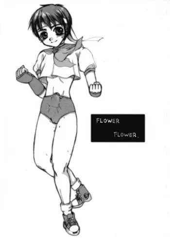 (CR29) [Sarurururu (Doru Riheko)] FLOWER FLOWER. (Street Fighter, Darkstalkers) manga cover