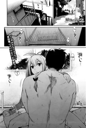 [Mizone] Shokubutsu no Sodatekata - How to raise plants (COMIC BAVEL 2016-04) [English] [InsanePraetor+4chanH] manga cover