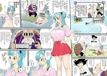 [REDLIGHT] Bulma ✕ Kame-Sennin Last (Dragon Ball) [Korean] manga cover